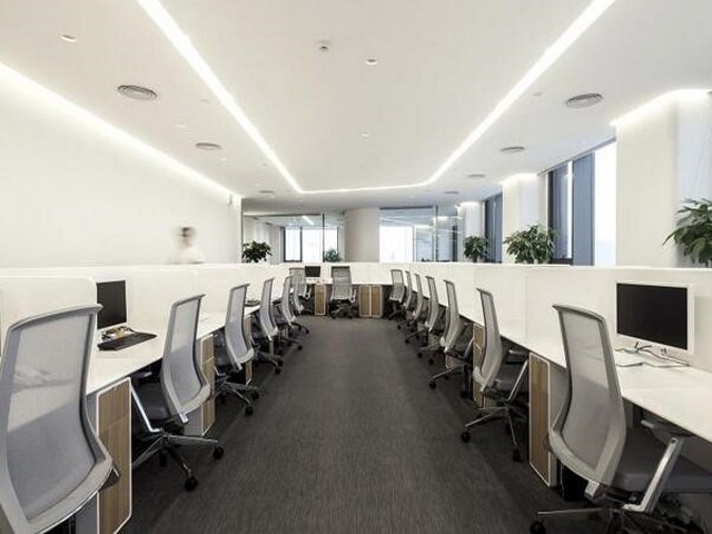 Serva胶原酶残留检测试剂盒